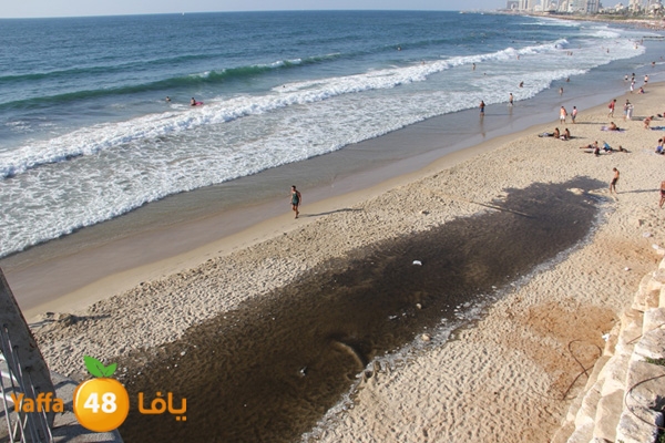 nakhom goldman majary (10).JPG